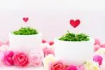 結婚相談所で婚活をする時の壁